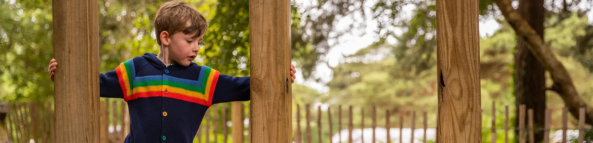 Climbing frames for your garden slider image